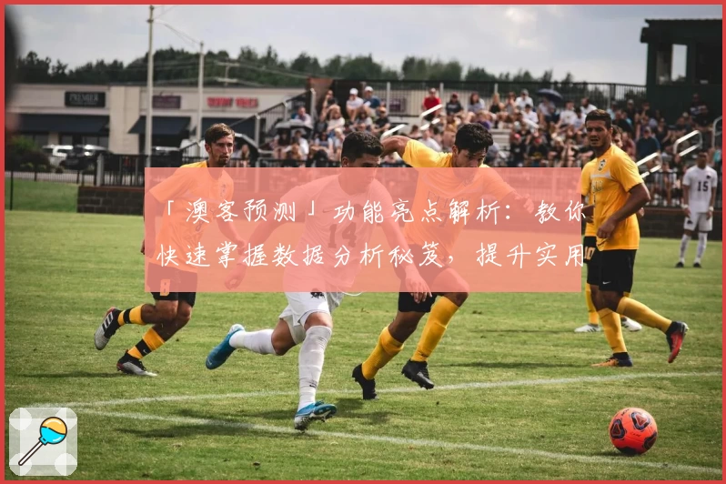 「澳客预测」功能亮点解析：教你快速掌握数据分析秘笈，提升实用技巧