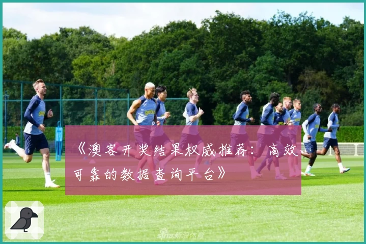 《澳客开奖结果权威推荐：高效、可靠的数据查询平台》