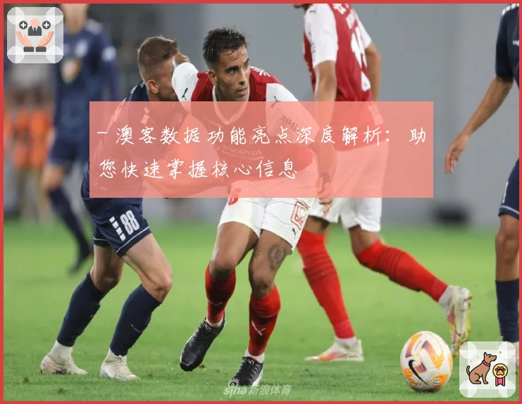 - 澳客数据功能亮点深度解析：助您快速掌握核心信息